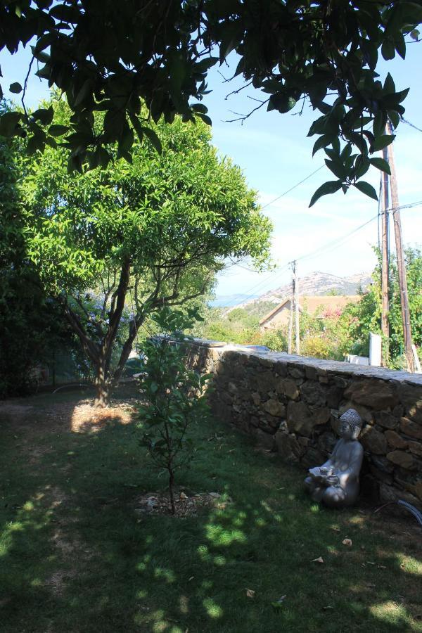 Studio Zen Barbaggio Extérieur photo